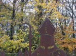 Middeleeuws Weleveld